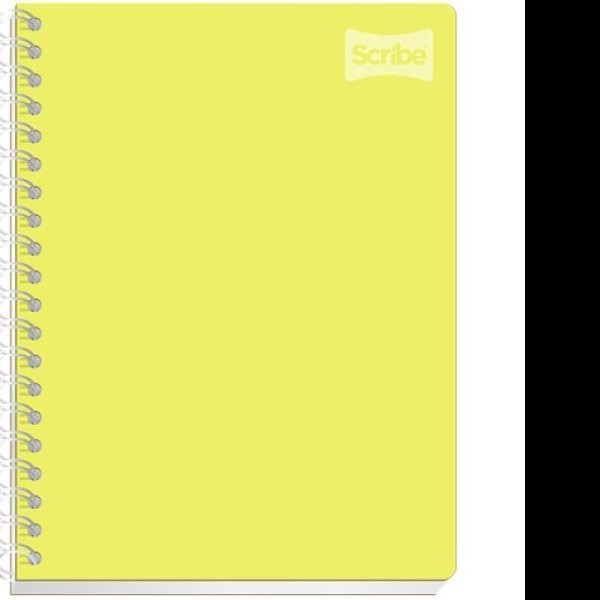 CUADERNO PROF. POLYCOVER ED.L. SCRIBE 5490 RAYA ESP.100H PZA